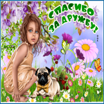 Вот такое вот спасибо