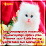 Всегда приносим радость