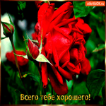 Всего тебе от меня хорошего
