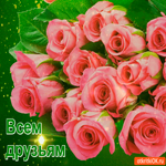 Всем моим друзьям букет