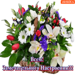 Всем всем, замечательного настроения