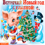 Встречай новый год с улыбкой