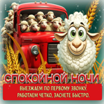 Выезжаем по первому звонку, работаем четко, заснете быстро