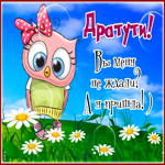 Яркая открытка Дратути! Вы меня ждали?