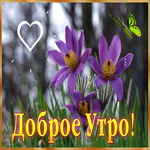 Яркая и милая открытка с цветочками Доброе утро