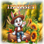 Яркая осенняя гиф-открытка Привет!