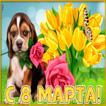 Яркая открытка с 8 марта