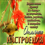 Яркая открытка со стихотворением Отличного настроения