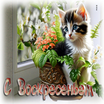 Ясная весенняя открытка С воскресеньем