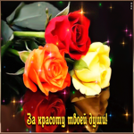 За красоту твоей души