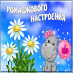 Забавная и игривая открытка Ромашкового настроения