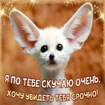 Забавная картинка скучаю