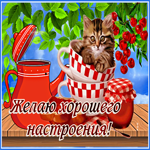 Замечательная открытка с котом  Желаю хорошего настроения!