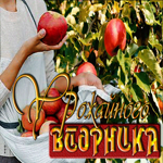Замечательная открытка Урожайного вторника