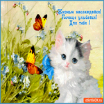 Жизнью наслаждайся и почаще улыбайся