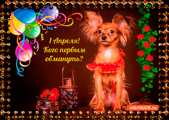 Картинка 1 апреля - кого первым обмануть