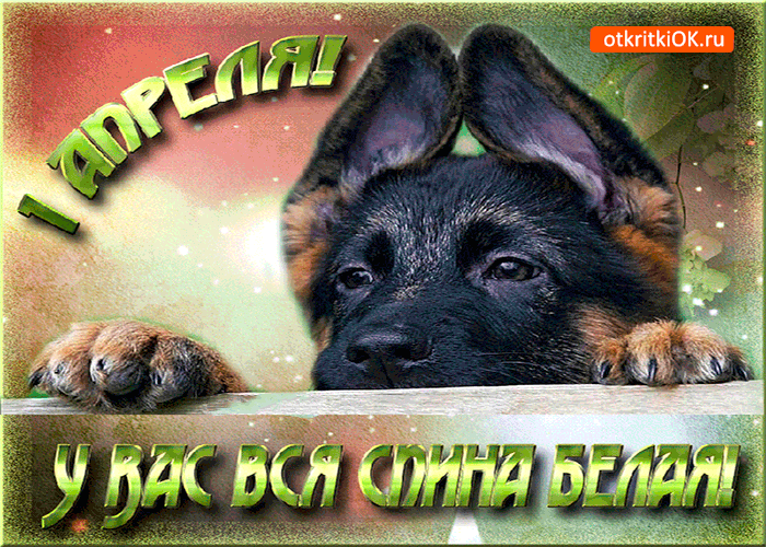 Открытка 1 апреля - у вас вся спина белая