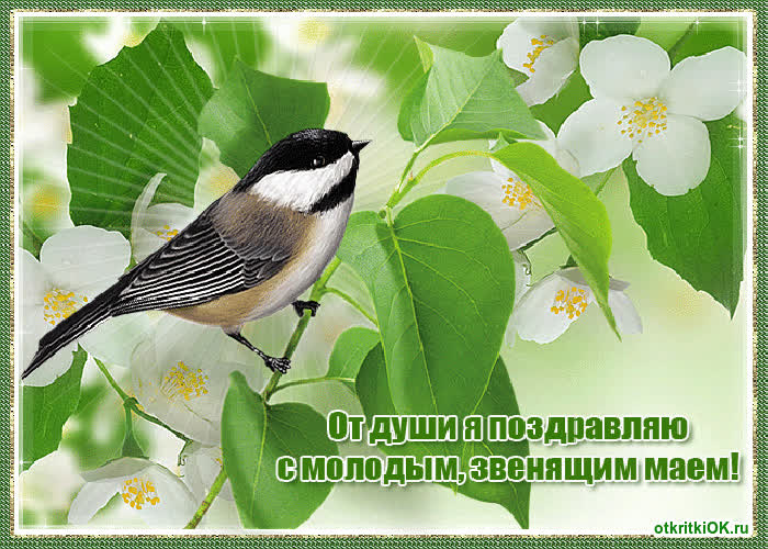 Картинка 1 мая праздник весны