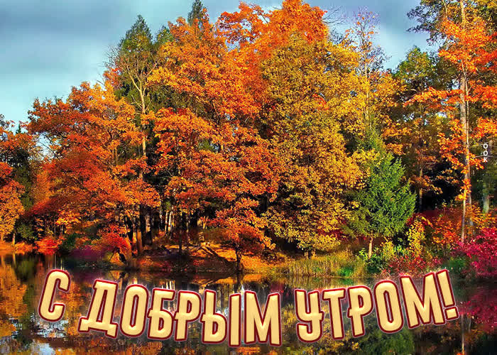 Картинка 111