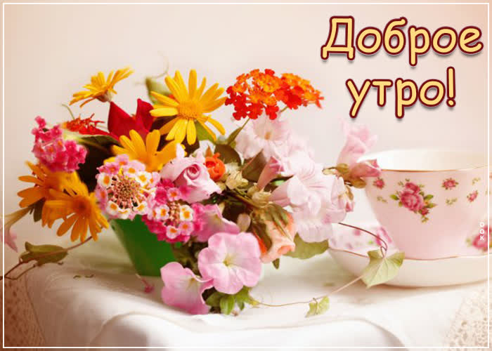 Картинка 1111