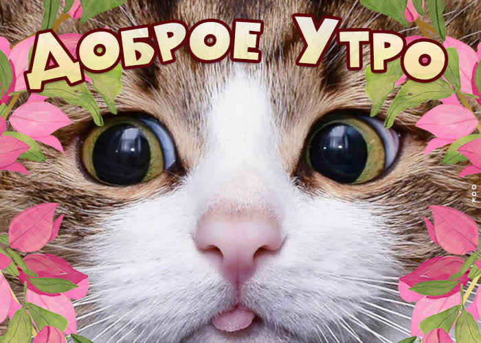 Открытка 1111
