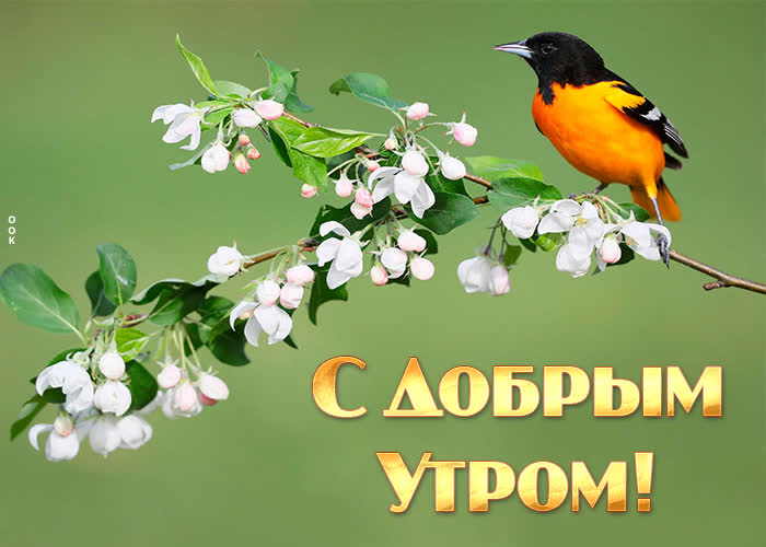 Открытка 1111