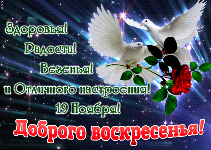 Postcard 19 ноября