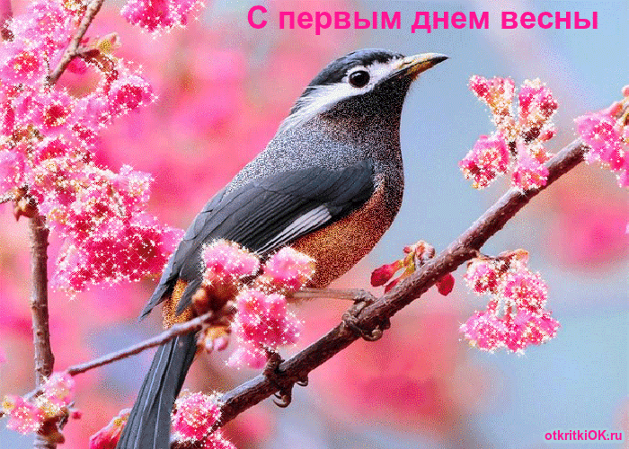 Открытка 1 первый день весны