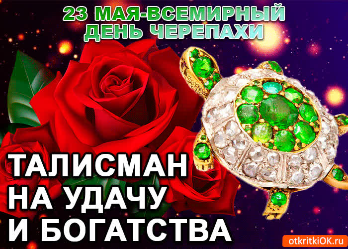 Картинка 23 мая всемирный день черепахи