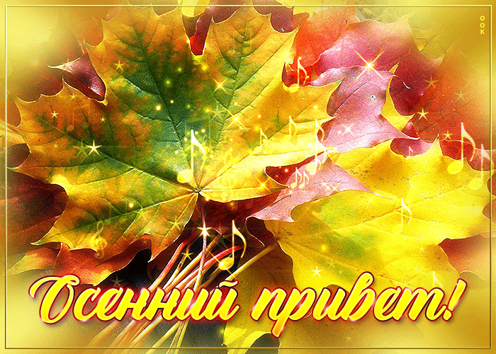 Postcard анимационная открытка с листьями осенний привет!