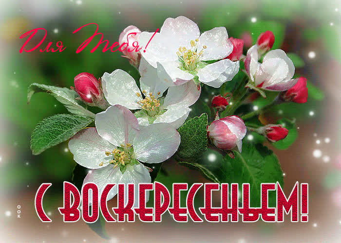 Картинка анимационная картинка с с воскресеньем