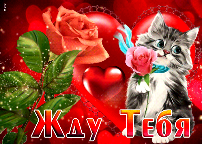 Картинка анимационная открытка с котёнком, жду тебя