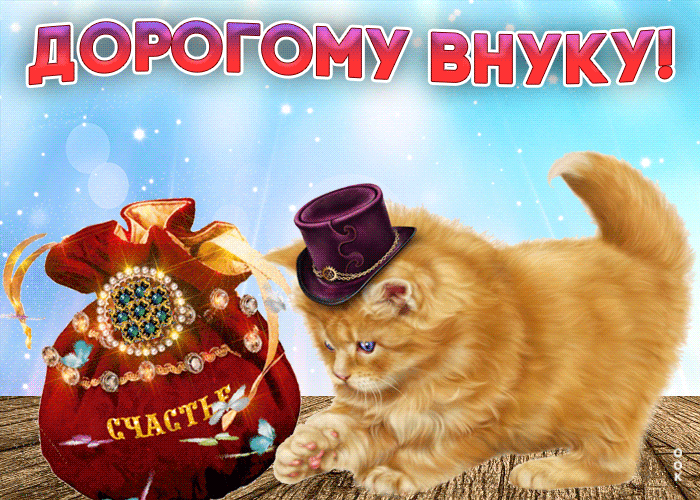 Картинка анимационная открытка внуку