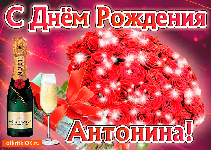 Картинка антонина с праздником тебя