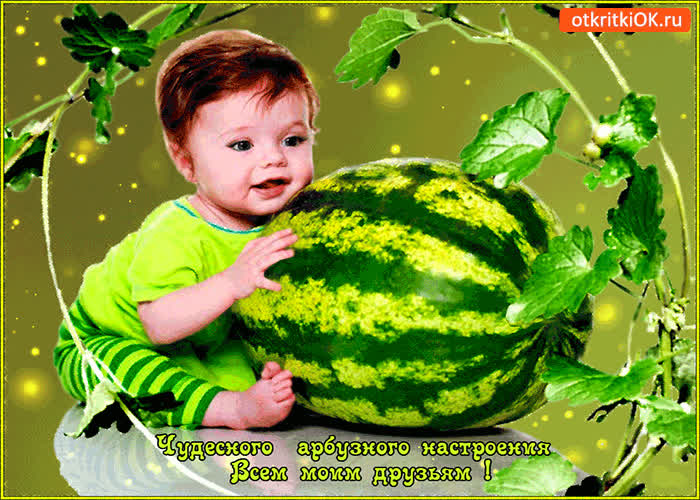 Картинка арбузного настроения моим друзьям