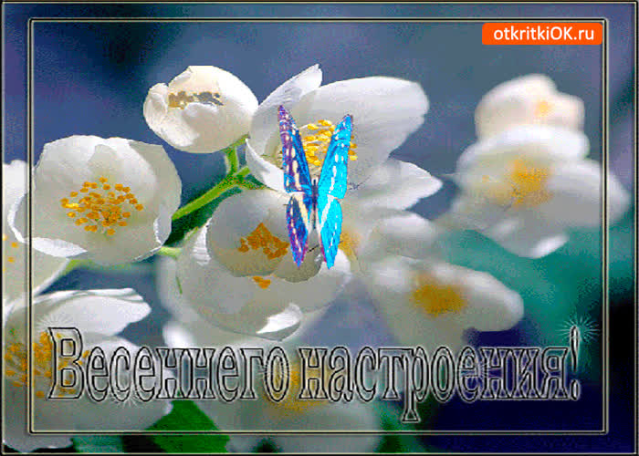 Картинка белого весеннего настроения