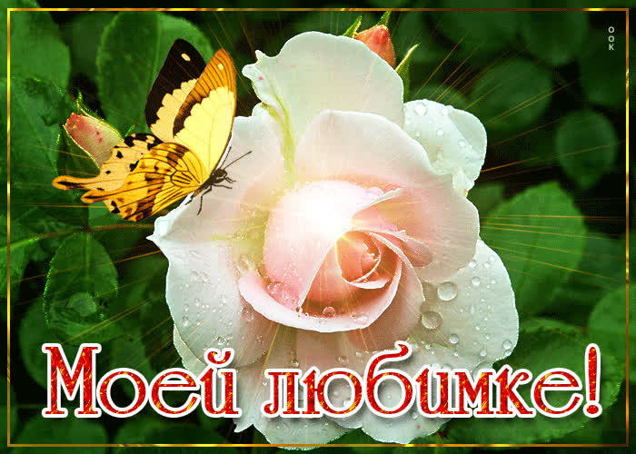 Картинка без повода, но от души - розу от меня держи