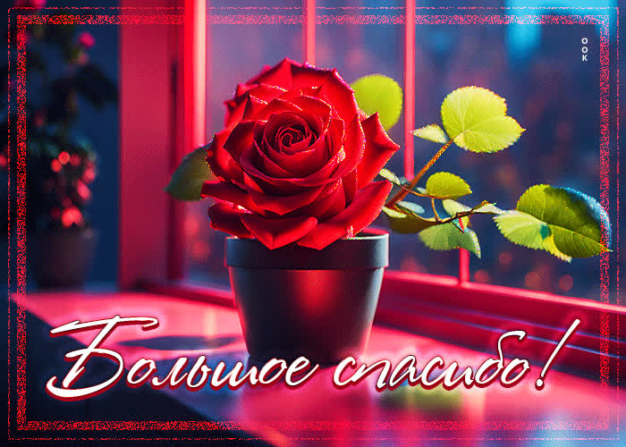 Postcard безмятежная и беззаботная гиф-открытка большое спасибо