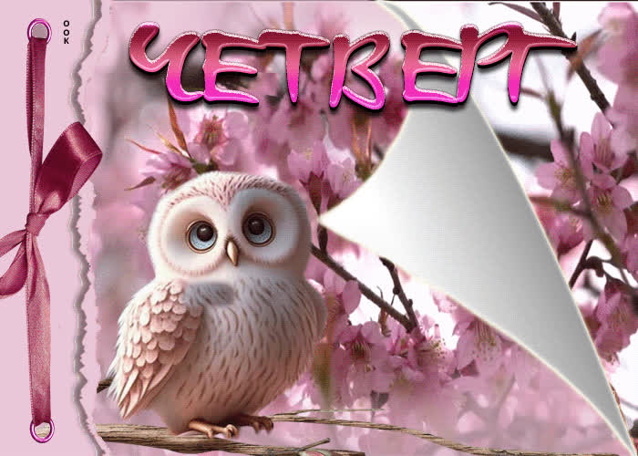 Picture безупречная открытка с совой четверг