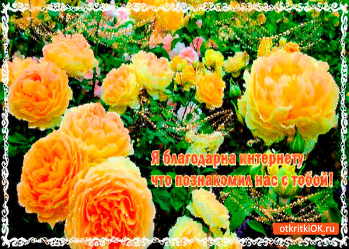 Картинка благодарен интернету что познакомил нас