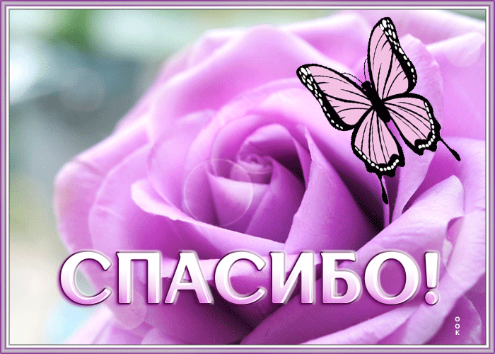 Postcard благодарная анимационная открытка спасибо