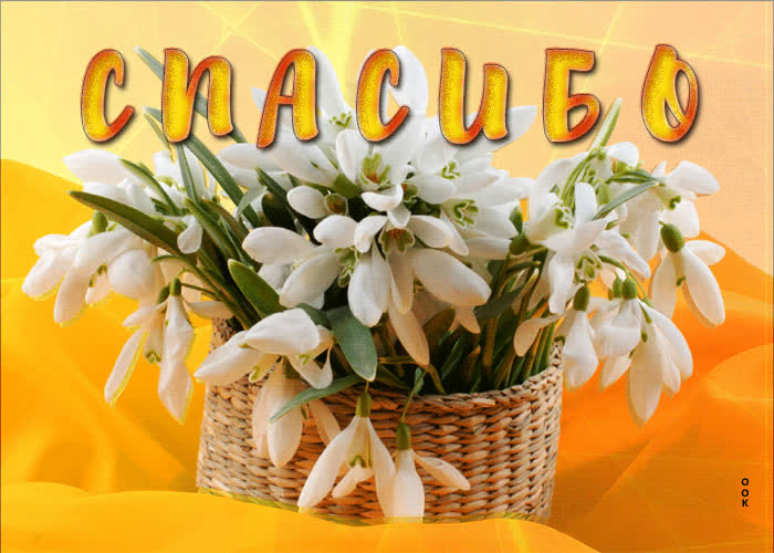 Postcard благодарная и нежная гиф-открытка спасибо