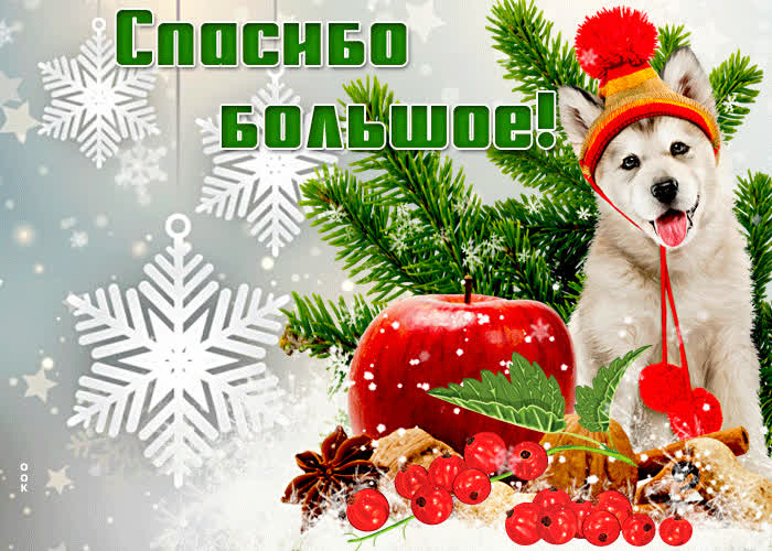 Картинка благодарю от всей моей души