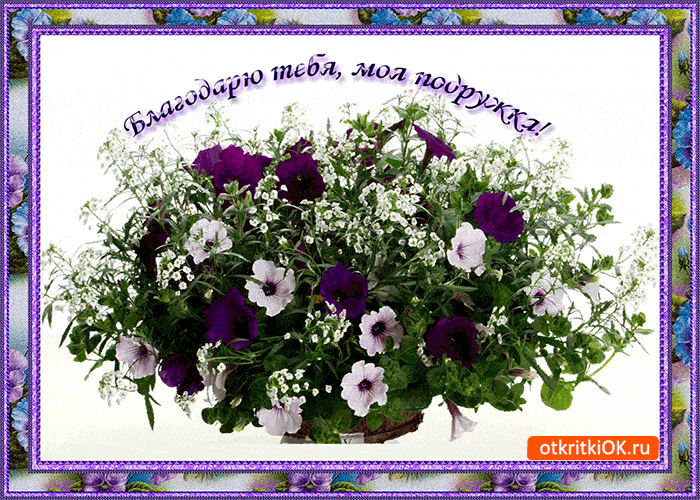 Открытка благодарю тебе моя подружка