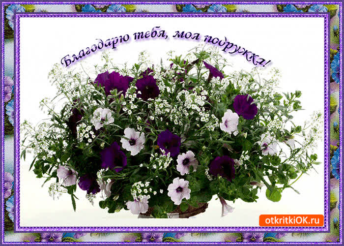 Картинка благодарю тебе моя подружка
