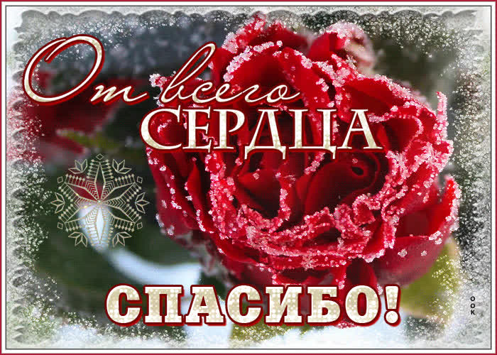 Картинка благодарю тебя дорогой друг