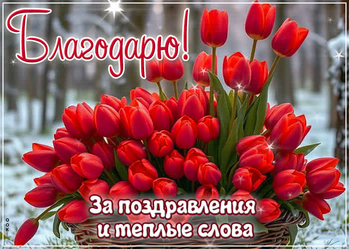 Postcard благодарю за поздравления и теплые слова