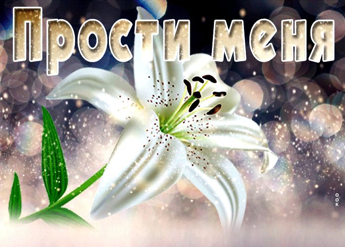 Картинка блестящая открытка прости меня с цветком