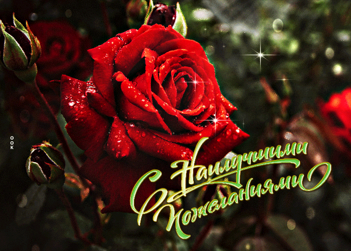 Postcard блестящая открытка с розой с наилучшими пожеланиями!