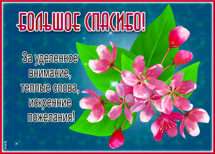 Postcard большое спасибо за уделенное внимание, теплые слова